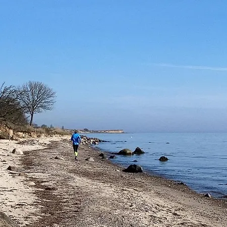 Sommerliv Tranekær